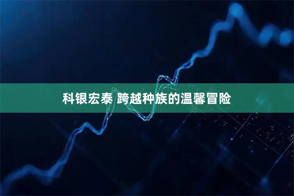 科银宏泰 跨越种族的温馨冒险
