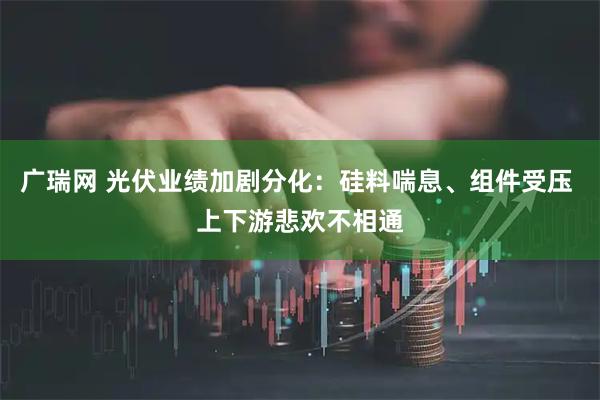 广瑞网 光伏业绩加剧分化：硅料喘息、组件受压 上下游悲欢不相通
