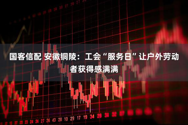 国客信配 安徽铜陵：工会“服务日”让户外劳动者获得感满满