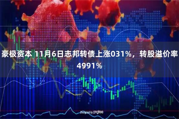 豪极资本 11月6日志邦转债上涨031%,转股溢价率4991%